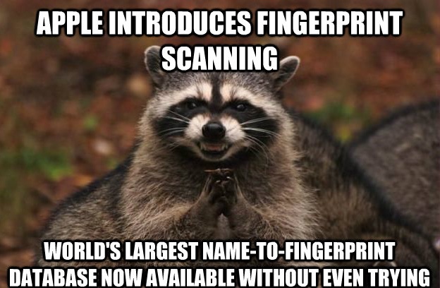 schemingracoon