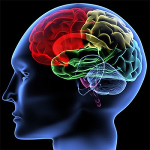 psychological-assessment-testing-florida-300x300