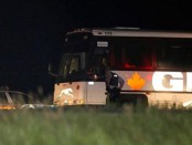 bus_1170_video_444x250