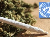 United-Nations-threatens-Colorado-Washington-state-over-marijuana-decriminalization-laws