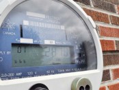 >Public outcry over the provincewide installation of Smart Meters by B.C. Hydro prompted the City of Port Alberni and the Alberni-Clayoquot Regional District to bring up the issue at the Union of B.C. Municipalities 2011 Convention.   — Postmedia New