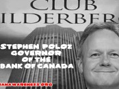 stefen poloz